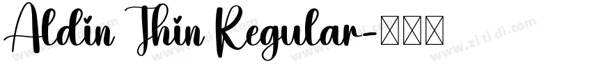 Aldin Thin Regular字体转换